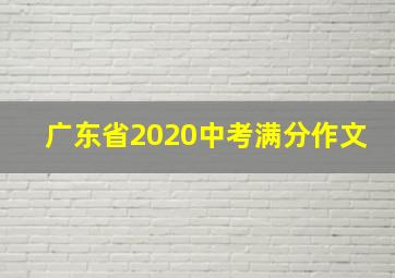 广东省2020中考满分作文