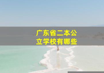 广东省二本公立学校有哪些