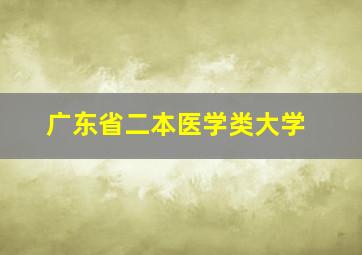 广东省二本医学类大学