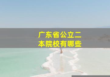 广东省公立二本院校有哪些