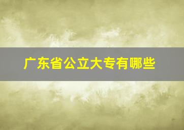 广东省公立大专有哪些