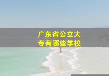 广东省公立大专有哪些学校