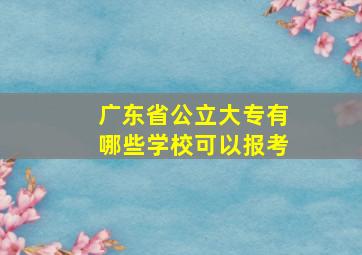 广东省公立大专有哪些学校可以报考