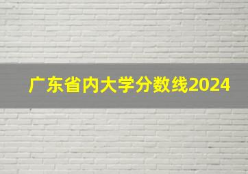 广东省内大学分数线2024