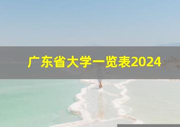 广东省大学一览表2024