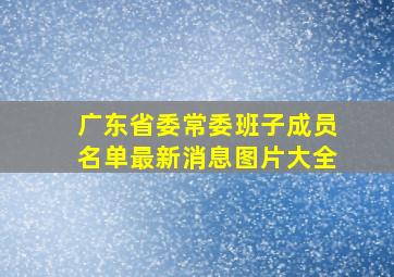 广东省委常委班子成员名单最新消息图片大全