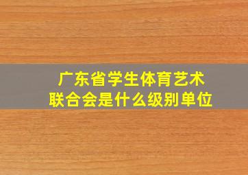 广东省学生体育艺术联合会是什么级别单位