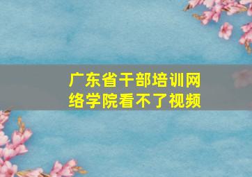 广东省干部培训网络学院看不了视频