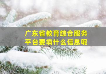 广东省教育综合服务平台要填什么信息呢