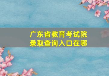 广东省教育考试院录取查询入口在哪