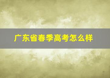 广东省春季高考怎么样