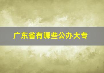 广东省有哪些公办大专