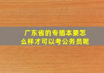 广东省的专插本要怎么样才可以考公务员呢