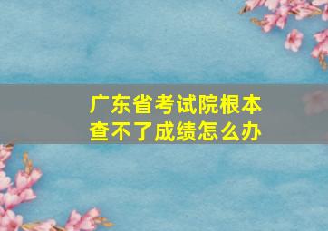 广东省考试院根本查不了成绩怎么办