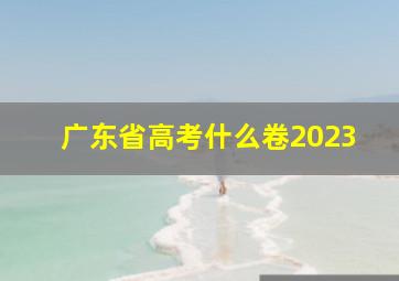 广东省高考什么卷2023