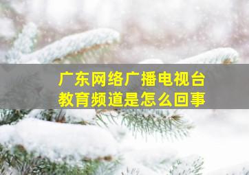 广东网络广播电视台教育频道是怎么回事