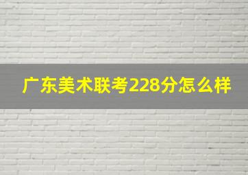 广东美术联考228分怎么样