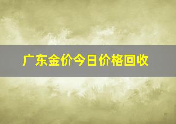 广东金价今日价格回收