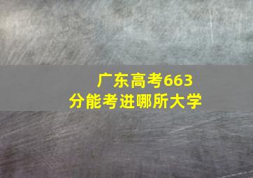 广东高考663分能考进哪所大学