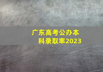 广东高考公办本科录取率2023