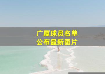 广厦球员名单公布最新图片