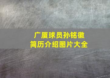 广厦球员孙铭徽简历介绍图片大全