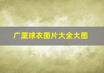 广厦球衣图片大全大图