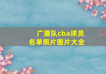 广厦队cba球员名单照片图片大全