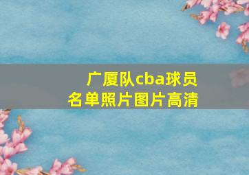 广厦队cba球员名单照片图片高清