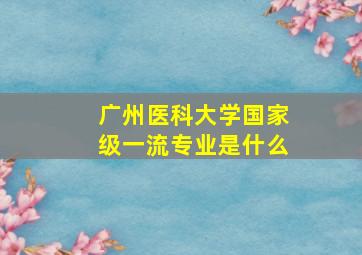 广州医科大学国家级一流专业是什么