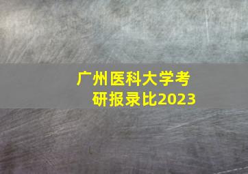 广州医科大学考研报录比2023