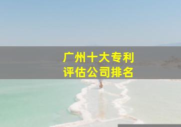 广州十大专利评估公司排名