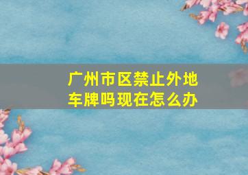 广州市区禁止外地车牌吗现在怎么办