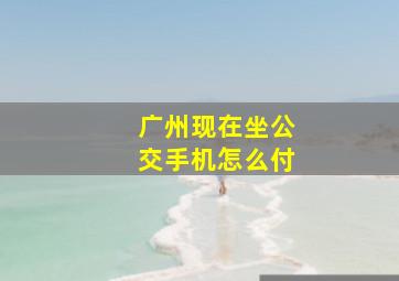 广州现在坐公交手机怎么付