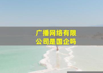 广播网络有限公司是国企吗