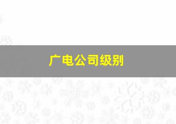 广电公司级别