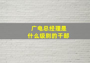 广电总经理是什么级别的干部