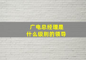 广电总经理是什么级别的领导