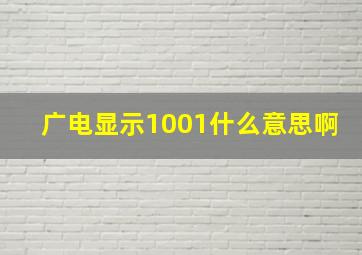 广电显示1001什么意思啊