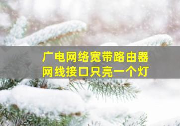 广电网络宽带路由器网线接口只亮一个灯