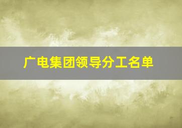 广电集团领导分工名单