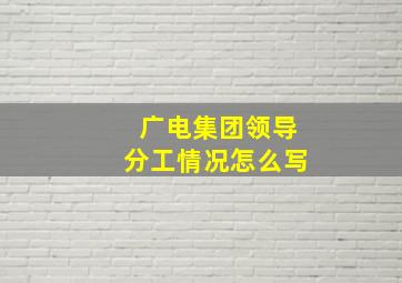 广电集团领导分工情况怎么写