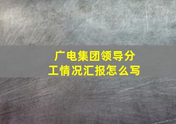 广电集团领导分工情况汇报怎么写