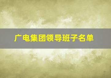 广电集团领导班子名单