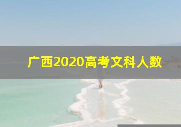 广西2020高考文科人数