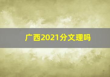 广西2021分文理吗