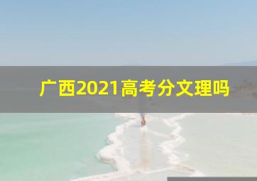 广西2021高考分文理吗