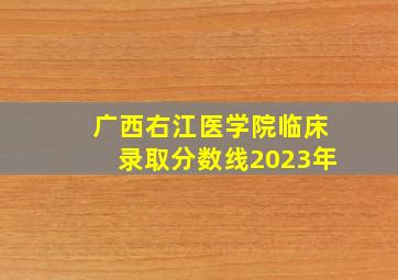 广西右江医学院临床录取分数线2023年