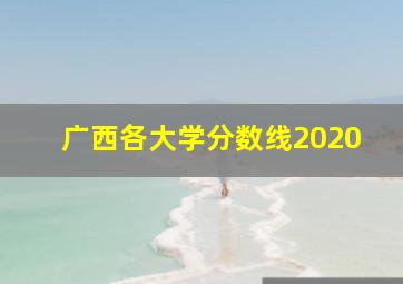 广西各大学分数线2020