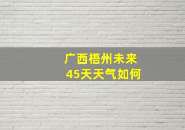 广西梧州未来45天天气如何